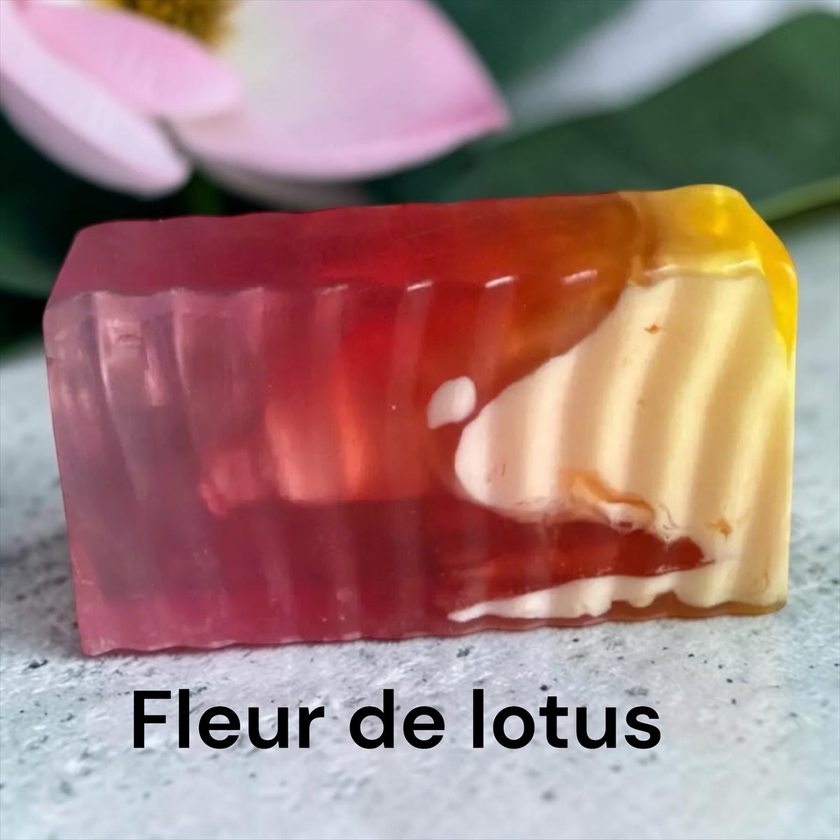 Tranche de savon Fleur de lotus 🪷