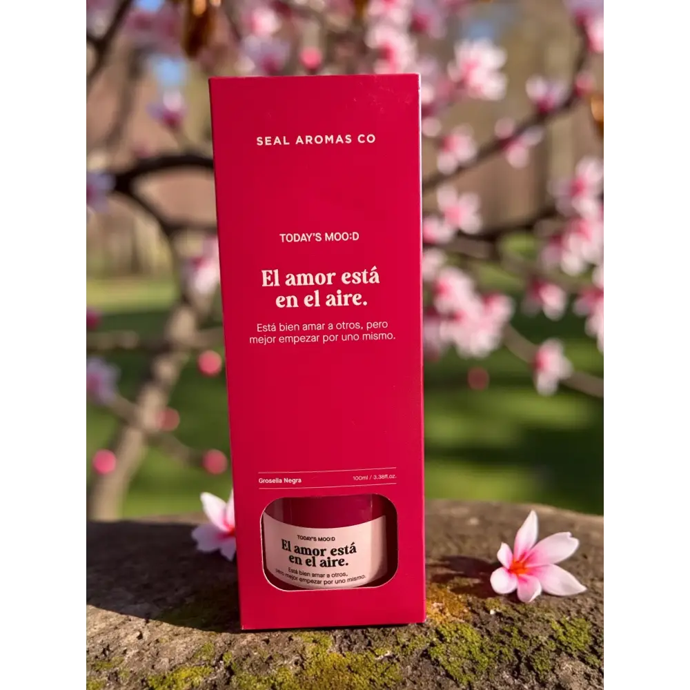 Mikado Today’s - Cassis noir (rose) Mikado