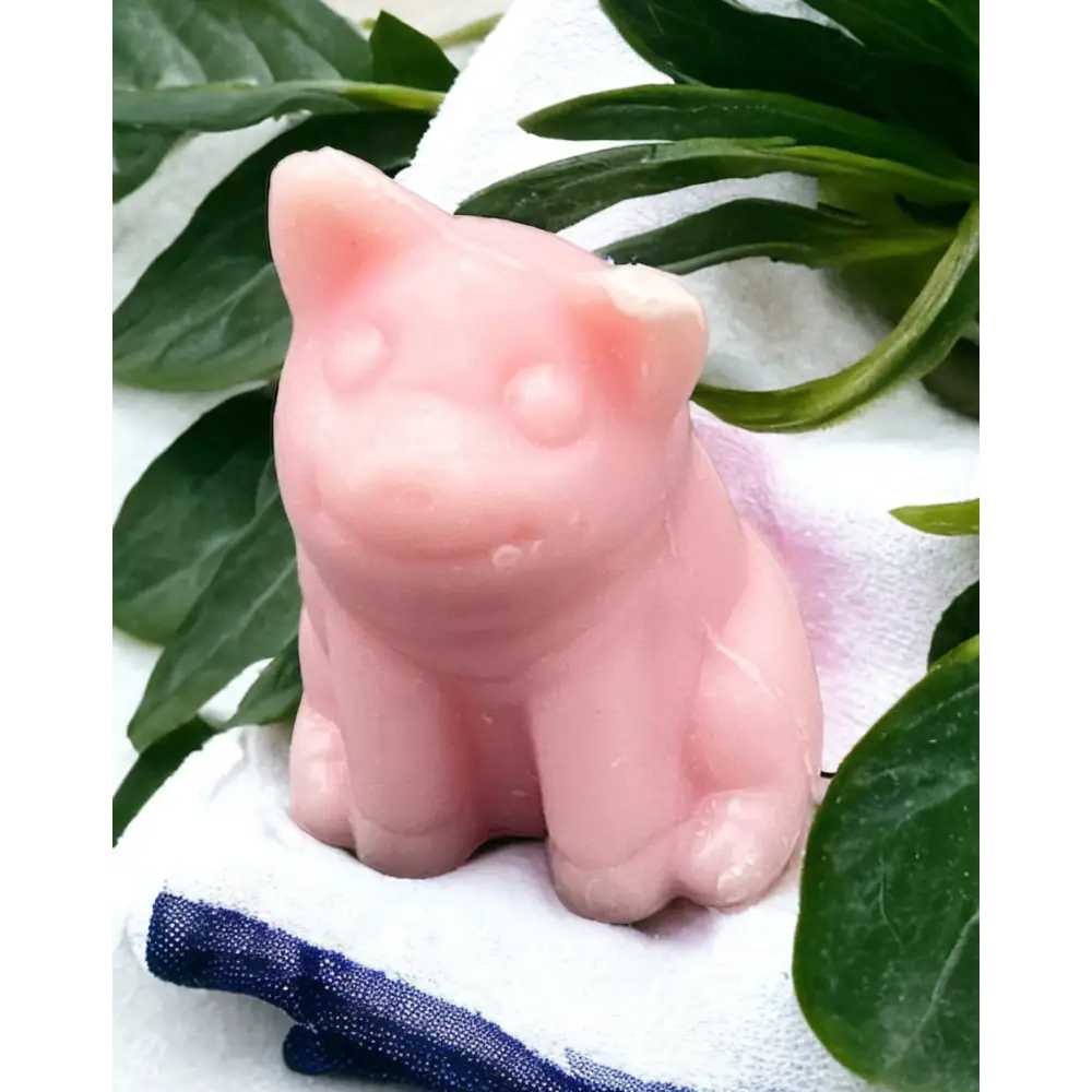 Savon invité Savon invité