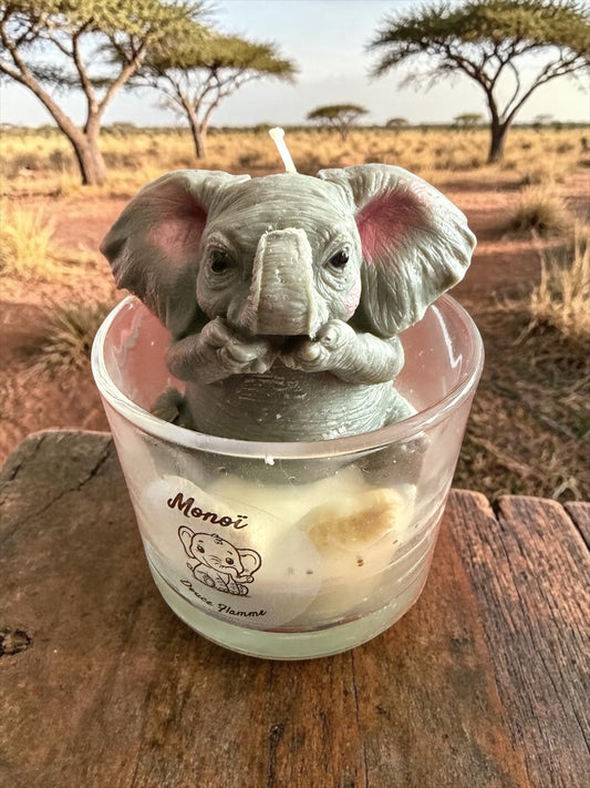 Bougie monoï éléphant 🐘