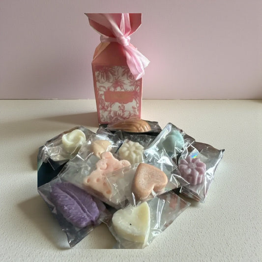 Sachet  de 10 fondants de cire en Destockage