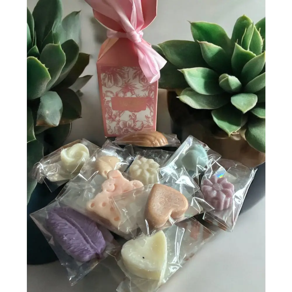 Boîte de 10 fondants de cire en Destockage - Mix - Fondants de cire