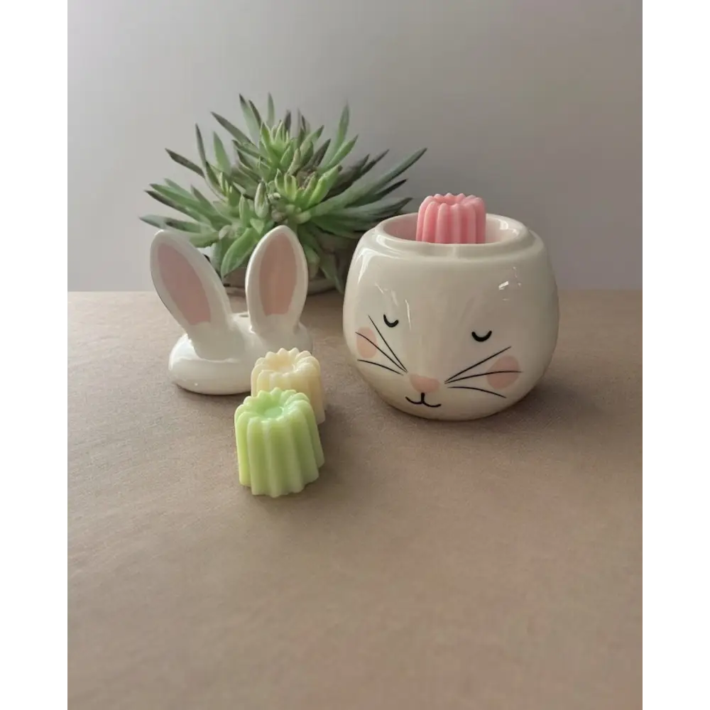 Brûleur lapin Brûleur