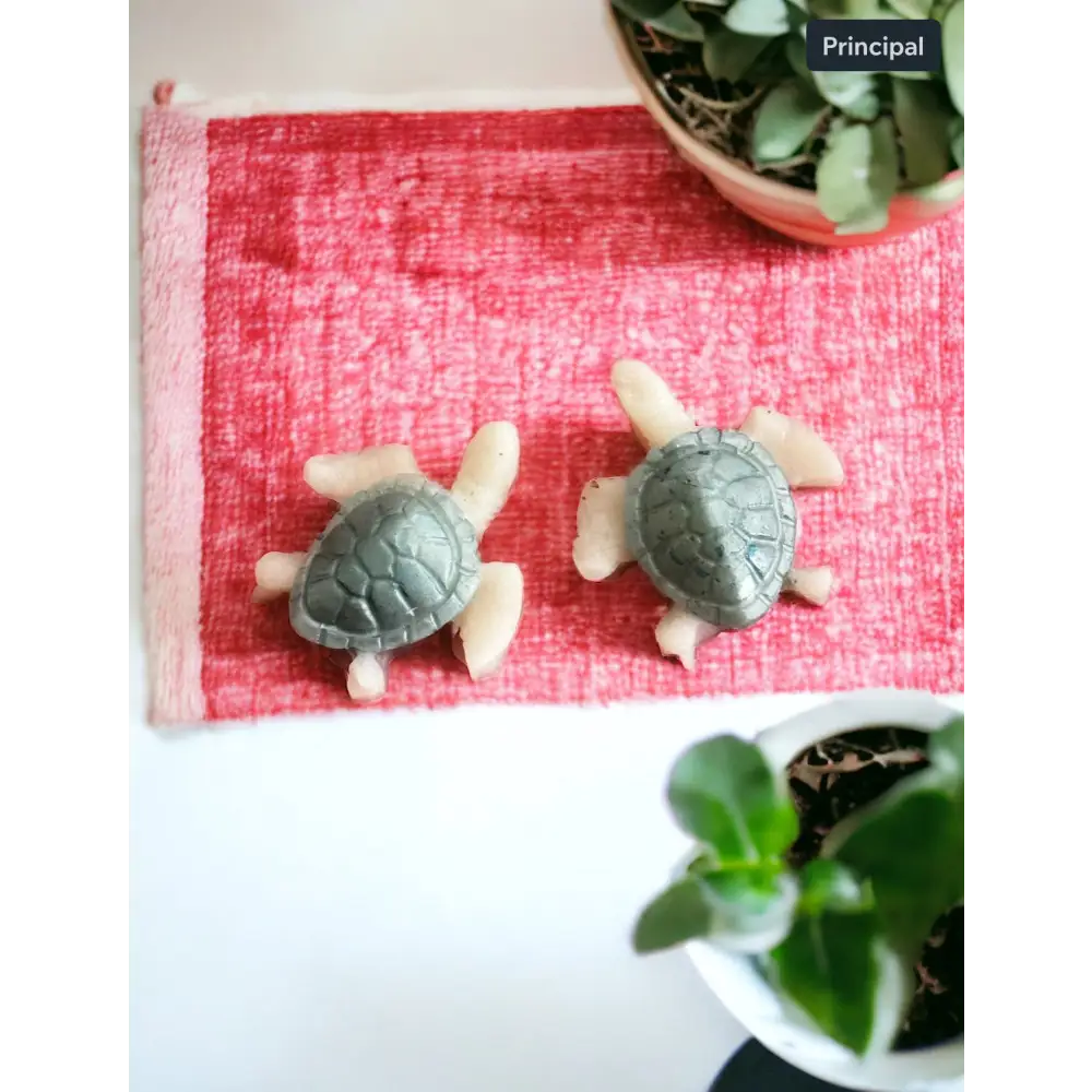 Fondant de cire Petite tortue 🐢 - Fondants de cire