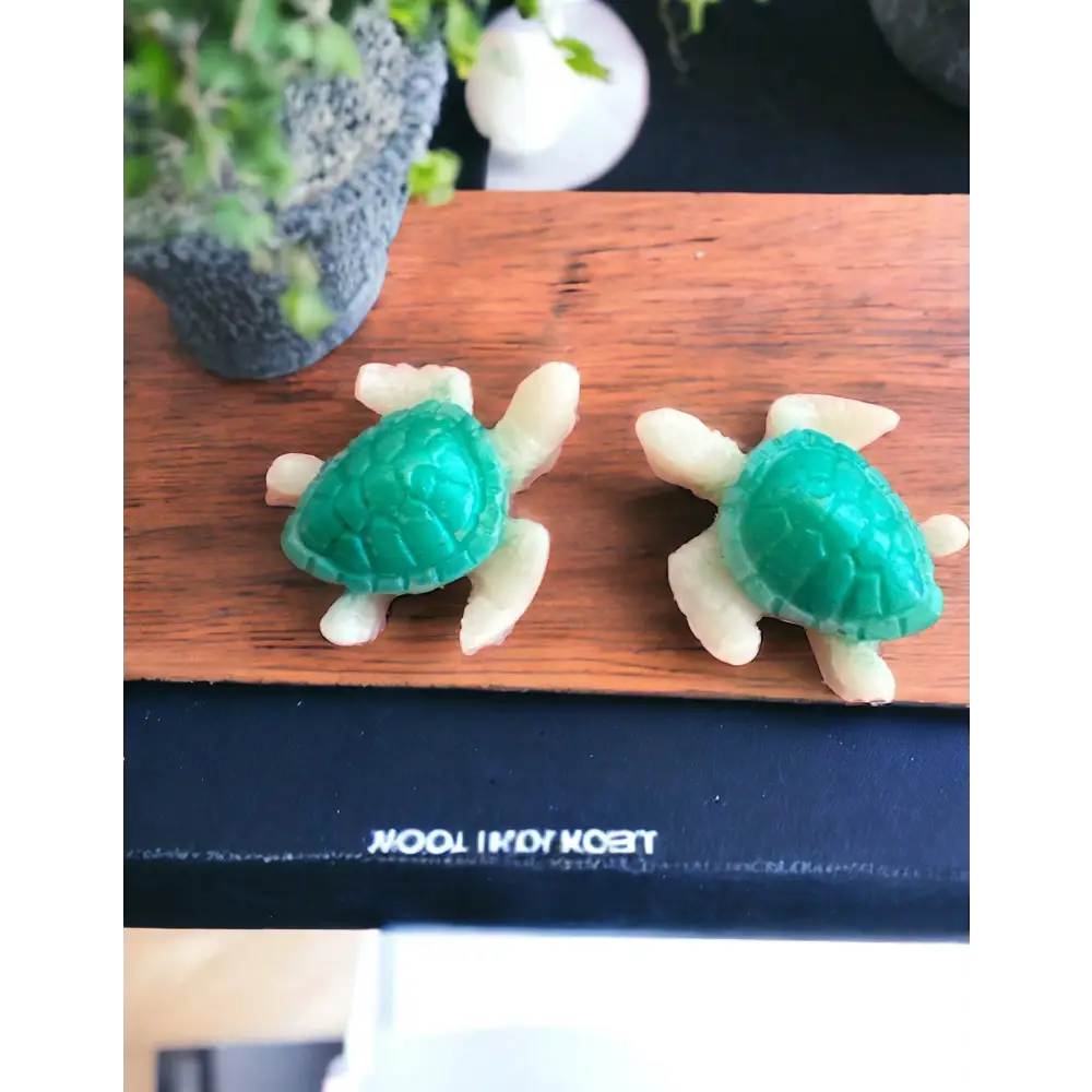 Fondant de cire Petite tortue 🐢 - Fondants de cire
