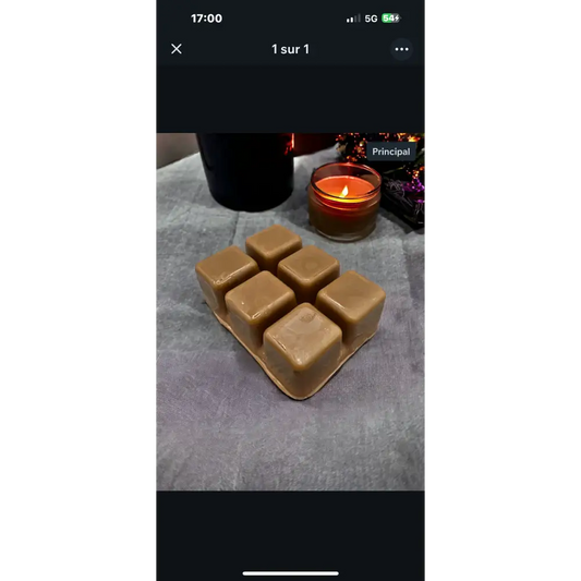 Fondant parfumé Clamshell Petit déjeuner - Fondant de cire