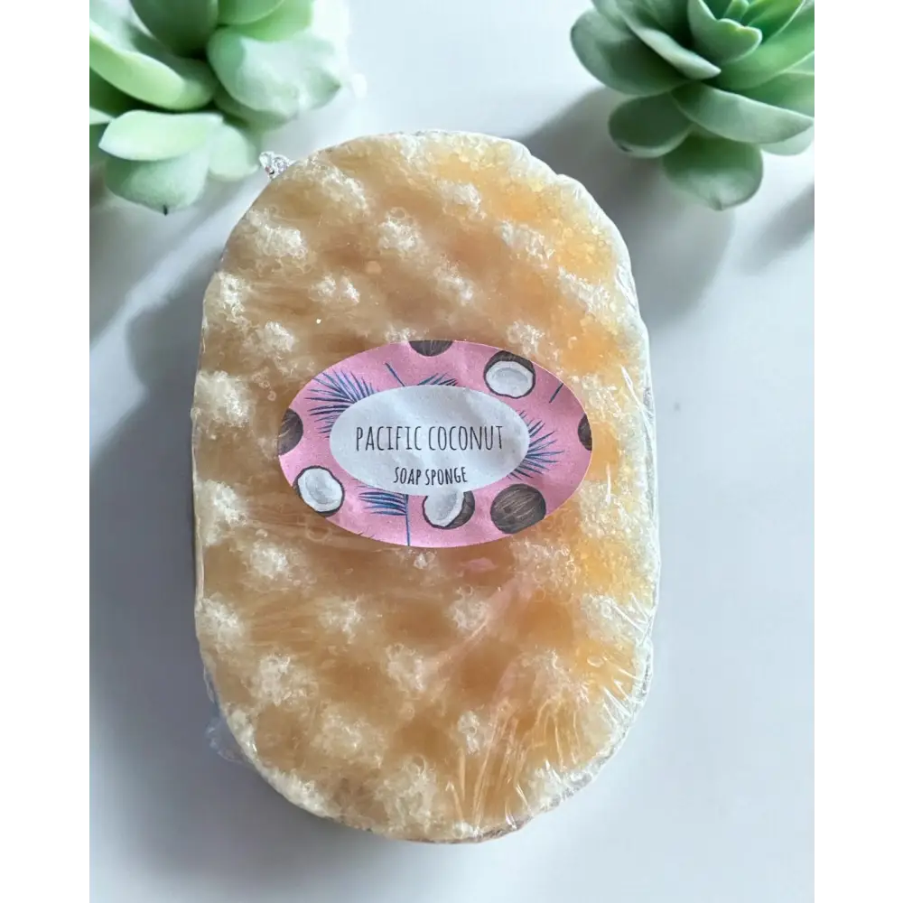 Grosse éponge de savon au choix Destockage - Noix de coco - Savon éponge