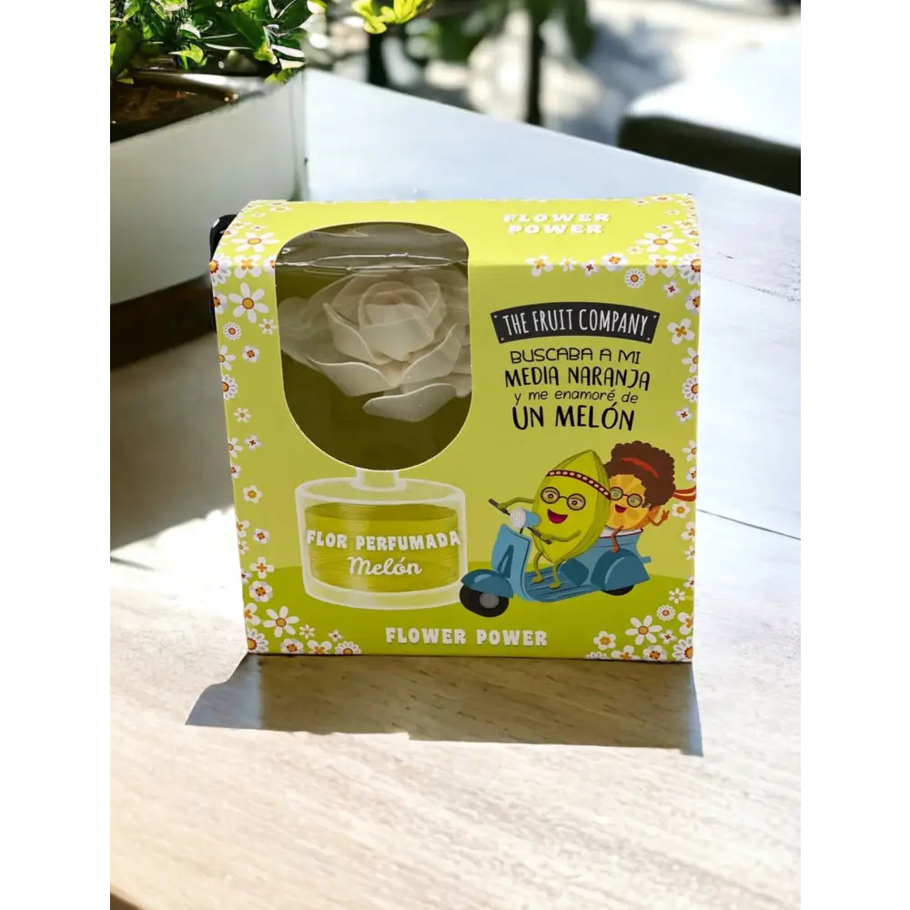 Mikado FLEUR parfum au choix - Melon - Mikado