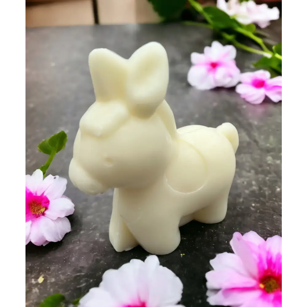 Savon âne au lait d ânesse - Lait d ânesse