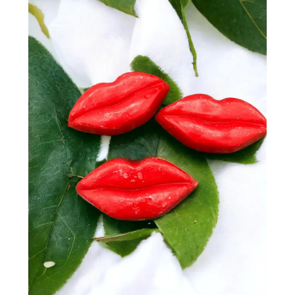 Savon invité Savon invité