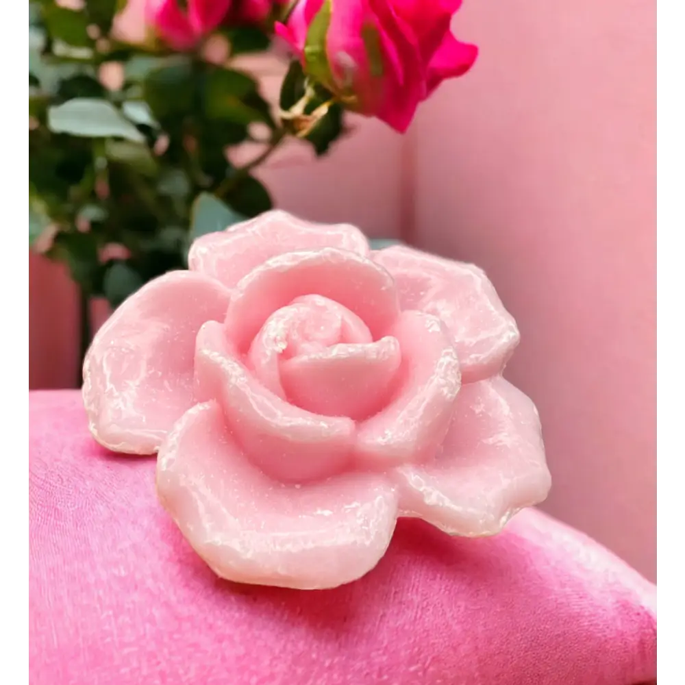 Savon invité Savon invité