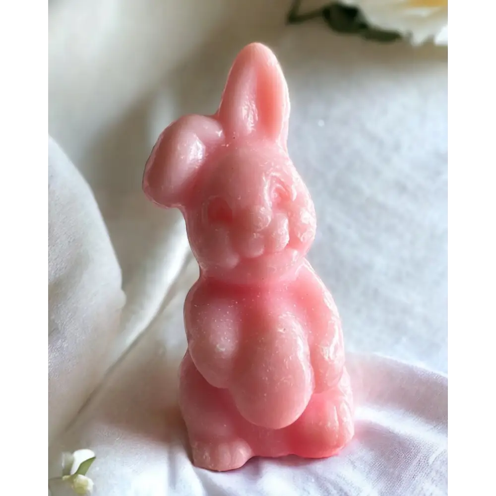 Savon invité Savon invité