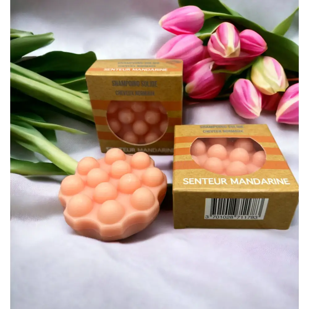 Shampoing solide au choix - Shampoing